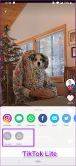 Maybe you would like to learn more about one of these? Differences Between Tiktok And Tiktok Lite Followers