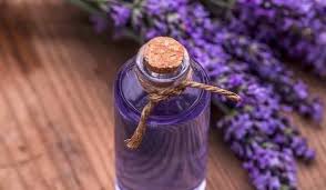 فوائد الخزامى للشعر واستخدام زيت اللافندر للشعر Aromatherapy Oils Oil Stock Oils