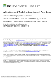 Image result for Englerina