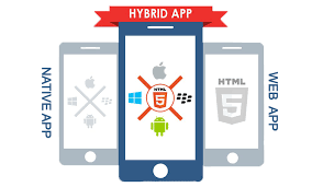 Explore their advantages and disadvantages in order to choose the. How Building A Hybrid Application Using Native Code Ios Android Windows And A Webview Helped Dailymotion Gain Time Webview By Delaire Damien Medium