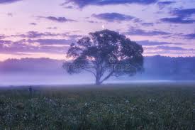 Browse 29,064 new york landscape stock photos and images available, or search for upstate new york landscape to find more great stock photos and pictures. 215 818 Misty Landscape Photos Free Royalty Free Stock Photos From Dreamstime