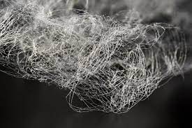 We are here to spin the textile industry with the most sustainable fibre in the world. Spinnova Receives 11m Cash Injection Apparel Insider