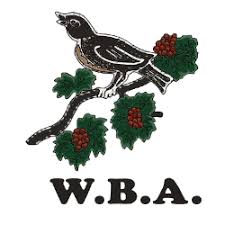 23.12.2020 · west bromwich albion logo png the football club west bromwich albion is based in west bromwich in the west midlands, the uk. West Bromwich Albion Fc Primary Logo Sports Logo History
