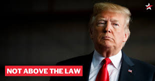 Kmg the illustrator (deceased) go mack kokane. Trump Is Not Above The Law Protectmueller