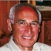 Robert E. DePalma Obituary 2008