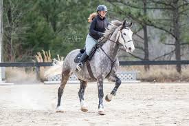 Big Cheese Eventing Schooling Show Series jumper photos are out!  https://corawilliamsonphotography.shootproof.com/gallery/26866943 Please  note that all photos are proofs and subject to cropping, straightening,  color, correcting, and other edits before ...