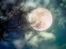 Der vollmond im februar 2021 wird auch der schneemond genannt. Vollmond Im Februar 2021 Platz Fur Neues Schaffen Astrowoche