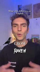 Differences Between Crows and Ravens in English