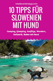 10 Tipps Fur Slowenien Mit Hund Wiederunterwegs Com Hund Reisen Slowenien Slowenien Urlaub