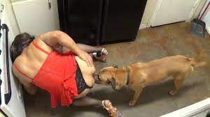 Puta Zoofila Sendo Fudida De Quatro Por Um Cachorro Na Cozinha - Zoofilia HD phone wallpaper