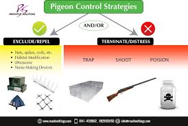 A Full Exclusion Birdcontrol Product Creates A Barrier To Prevent Birds From Landing Or Nesting On Buildings Pigeoncontro Bird Control Solutions Prevention