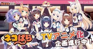 We did not find results for: Tv Anime Adaptation Of Nekopara In Production Myanimelist Net