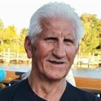 Michael Hammer Obituary