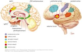 Tinnitus is a ringing, whistling, or another sound in a person's ears that only they can hear. Frontiers Pathophysiology Of Subjective Tinnitus Triggers And Maintenance Neuroscience