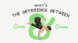 So What S The Difference Between Crow And Crane Different Types Of Yoga Types Of Yoga Crane Pose Yoga