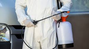 Our exterminator services vary based on the type of insect/pest size of the property but we give free estimates to all residents in queens county and all of nyc. 5 Benefits Of Hiring A Pest Control Service In Abu Dhabi The Home Project Servicemarket