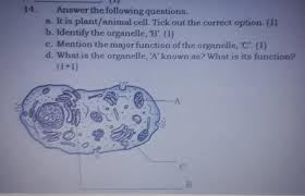How to break free from an ice cell inflicted by boss argent knight: Answer The Following Questions A It Is Plant Animal Cell Tick Out The Correct Option 1 B Identify Brainly In