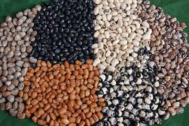 Types Of Cowpeas Technically Beans Difference Between Black Eyed And Purple Hull Peas Purple Hull Peas Save Food Seeds
