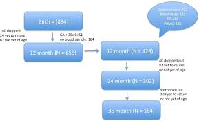 flow chart of the birth cohort study demonstrating the