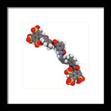 Image result for Suramin