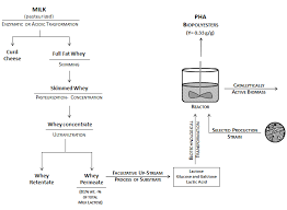 Whey Lactose As A Raw Material For Microbial Production Of