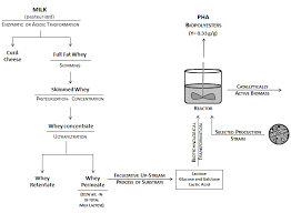 whey lactose as a raw material for microbial production of