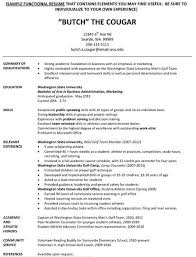 job resume examples
