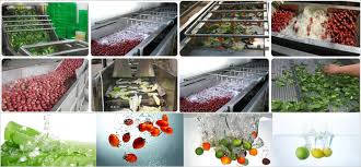 We did not find results for: Water Bubble Washing Machine And Vegetable Cleaning Machine Supplier