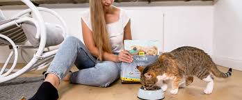 ‪How often should I feed my cat? | Deutsche Tiernahrung Cremer‬‏