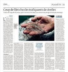 English french online dictionary tureng, translate words and terms with different pronunciation options. Sustainable Eel Group New Le Monde Article On Glass Eel Traffickingsustainable Eel Group