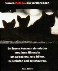 zum stillen gedenken an alle seelchen die den weg uber die regenbogenbrucke gegangen s regenbogenbrucken hund spruche katze regenbogenbrucke
