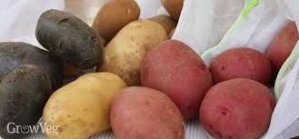 Also, watch this video to learn more about storing potatoes at home. Tried And Tested Tips For Storing Potatoes Successfully