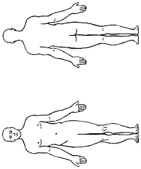 'corpul meu ocupat' este o poveste audio pentru copii, propusă de echipa noastră administrativă. Planse De Colorat Corpul Uman De Colorat P18 Desene De Colorat Corpul Uman De Colorat P18