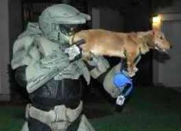 Random funny pictures no words. 28 Random Pictures That Make No Sense Because Why Not
