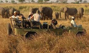 Game Viewing Safaris in Kidepo National Park - Uganda Budget Safaris