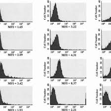 Layout and drill hole patterns easily & accurately. Pdf Macrophages From Cancer Patients Analysis Of Trail Trail Receptors And Colon Tumor Cell Apoptosis