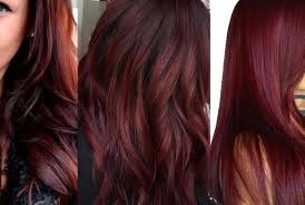 Of course, you can always use bleach. Burgundy Dark Red Hair Extensions Clip In Hair Streaks Auburn Hair Reddish Brown Summer Highlights Fancy