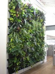 I Like This Wall Hanging Garden I Would Pic Some Different Flora But Still Like The Idea Vertical Garden Indoor Vertical Garden Design Vertical Garden Diy