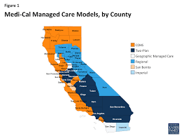 Medi Cal Managed Care An Overview And Key Issues Issue