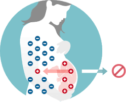 Image result for Rh Sensitization
