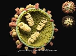 Ingat, influencer adalah cerminan dari seseorang yang dianggap memiliki potensi mempengaruhi orang lain. Influenza Punca Gejala Rawatan Penyakit