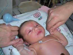 Bulletin 261, June 17, 2007