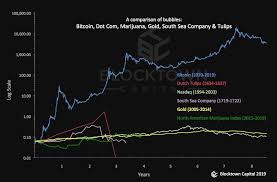 A Chart On Bubbles Bitcoin Tulips Dot Com South Sea
