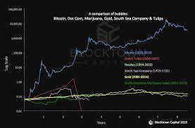 a chart on bubbles bitcoin tulips dot com south sea