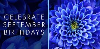 However we need to be careful using it as main color. Sapphire Blue Flowers For September Trias Flowers