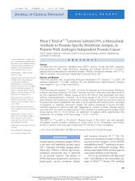 Xu chuanchuan is a yuri novel writer who firmly believes herself to be as straight as a steel pipe. Pdf Phase I Trial Of 177lutetium Labeled J591 A Monoclonal Antibody To Prostate Specific Membrane Antigen In Patients With Androgen Independent Prostate Cancer