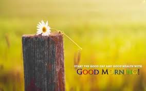 Good Morning Wish Quote Image Wallpaper Best Hd Wallpapers Good Morning Photos Morning Wishes Quotes Good Morning Wishes
