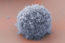 Maybe you would like to learn more about one of these? Ten Facts About Cells And Cell Function