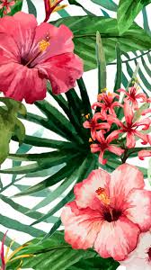 We hope you enjoy our growing collection of hd. Pin By Eunice Delicado On Wallpapers Iphone Wallpaper Tropical Floral Wallpaper Flower Wallpaper