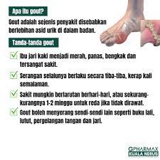Asid urik yang dikeluarkan dalam air kencing menggambarkan pengambilan purin dengan makanan dan pecahan nukleotida purine endogen. Gout Mesti Ramai Yang Farmasi Gpharmax Kuala Nerus Facebook